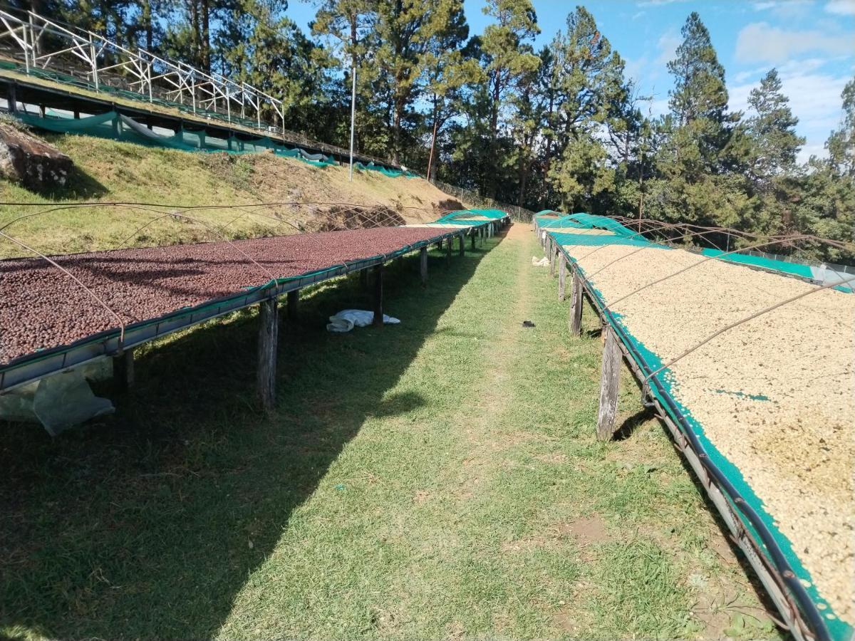 Alto Boquete Campestre Houseヴィラ エクステリア 写真