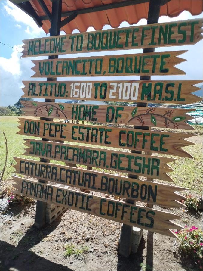 Alto Boquete Campestre Houseヴィラ エクステリア 写真
