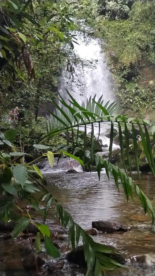 Alto Boquete Campestre Houseヴィラ エクステリア 写真