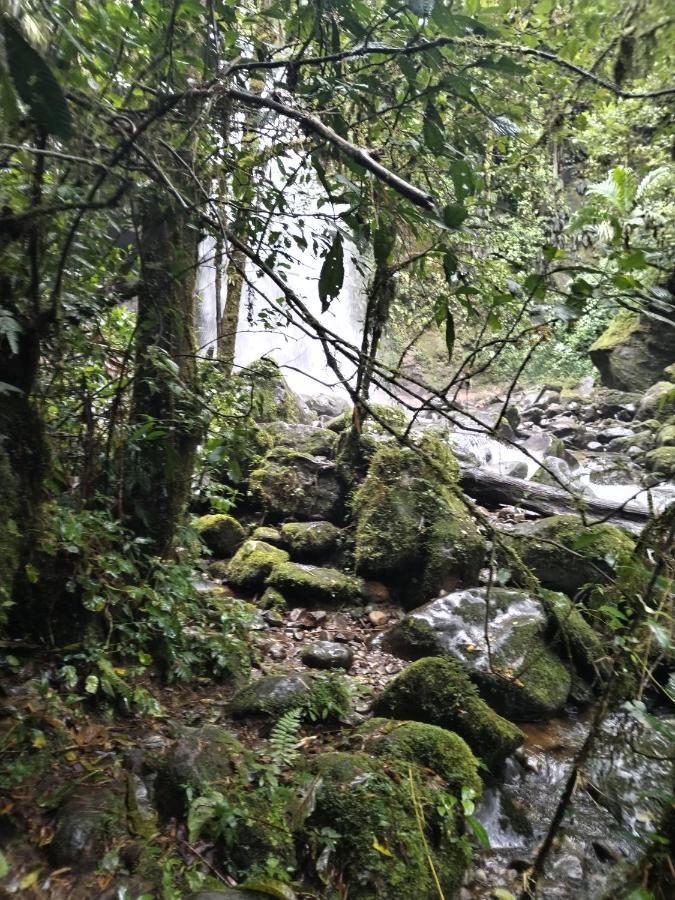 Alto Boquete Campestre Houseヴィラ エクステリア 写真