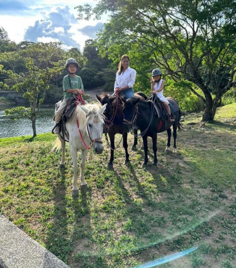 Alto Boquete Campestre Houseヴィラ エクステリア 写真