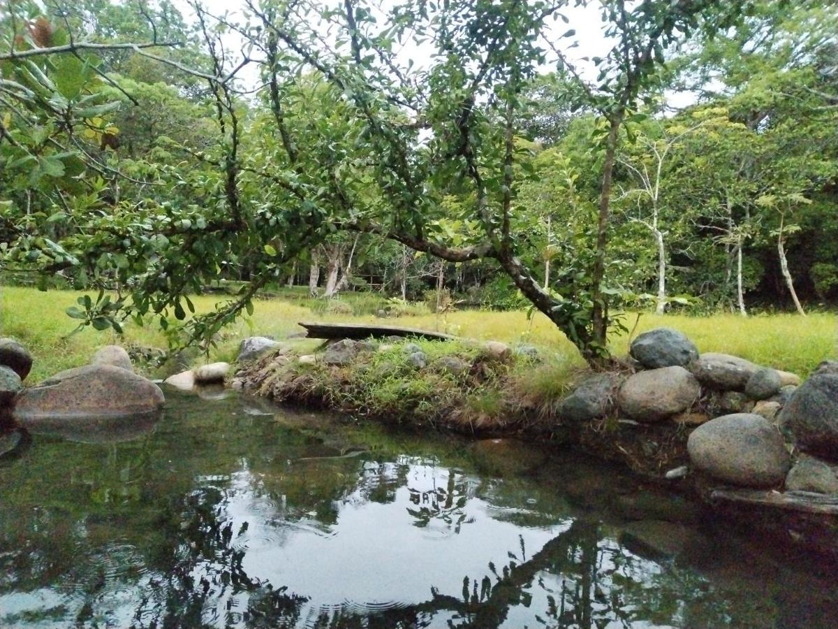 Alto Boquete Campestre Houseヴィラ エクステリア 写真