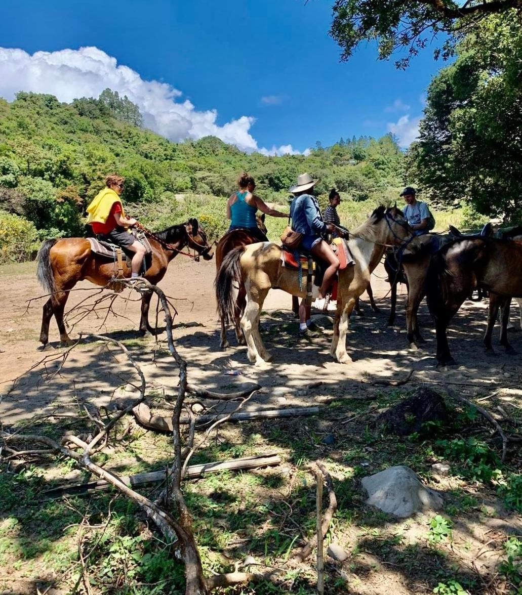 Alto Boquete Campestre Houseヴィラ エクステリア 写真
